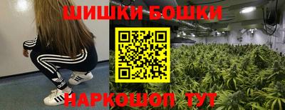 индика Кулебаки