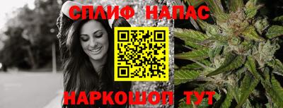 индика Кулебаки