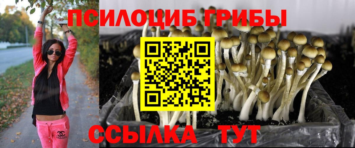 Галлюциногенные грибы Cubensis Ипатово