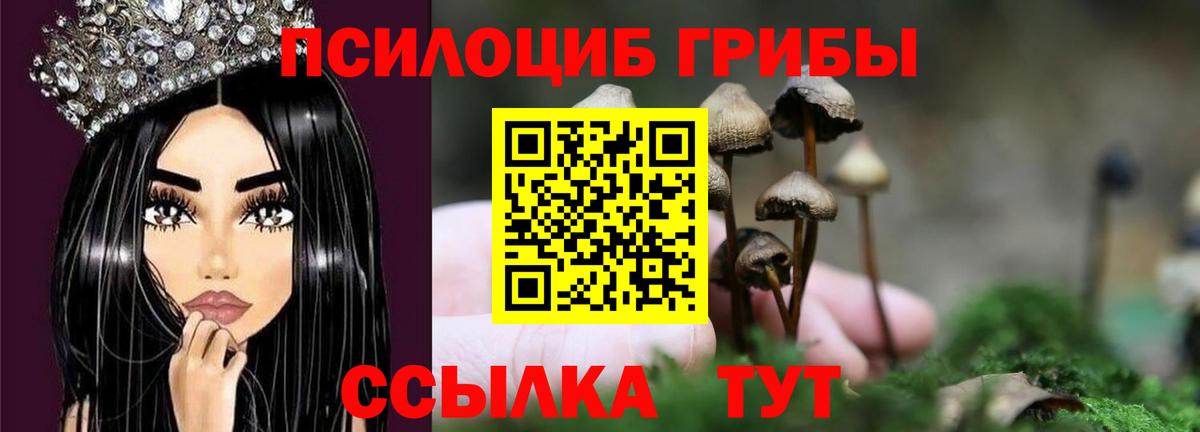 Псилоцибиновые грибы Psilocybine cubensis  Псилоцибиновые грибы GOLDEN TEACHER  Ипатово  Вход с VPN 
